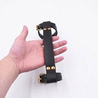 TWTOPSE Leather Bike Carry Handle