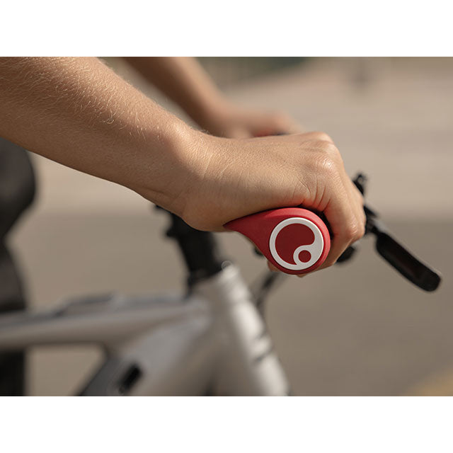 Ergon GS1 Evo Ergonomic Bike Grips