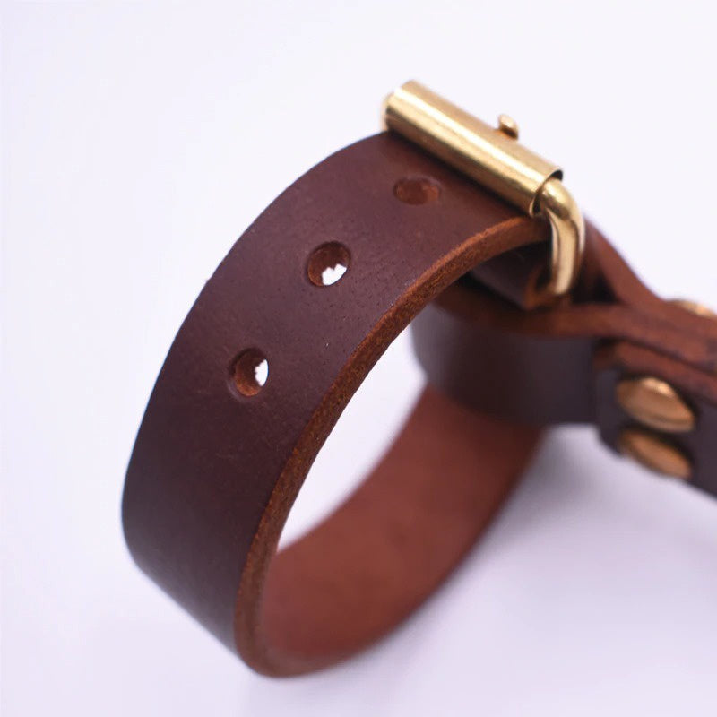 TWTOPSE Leather Bike Carry Handle