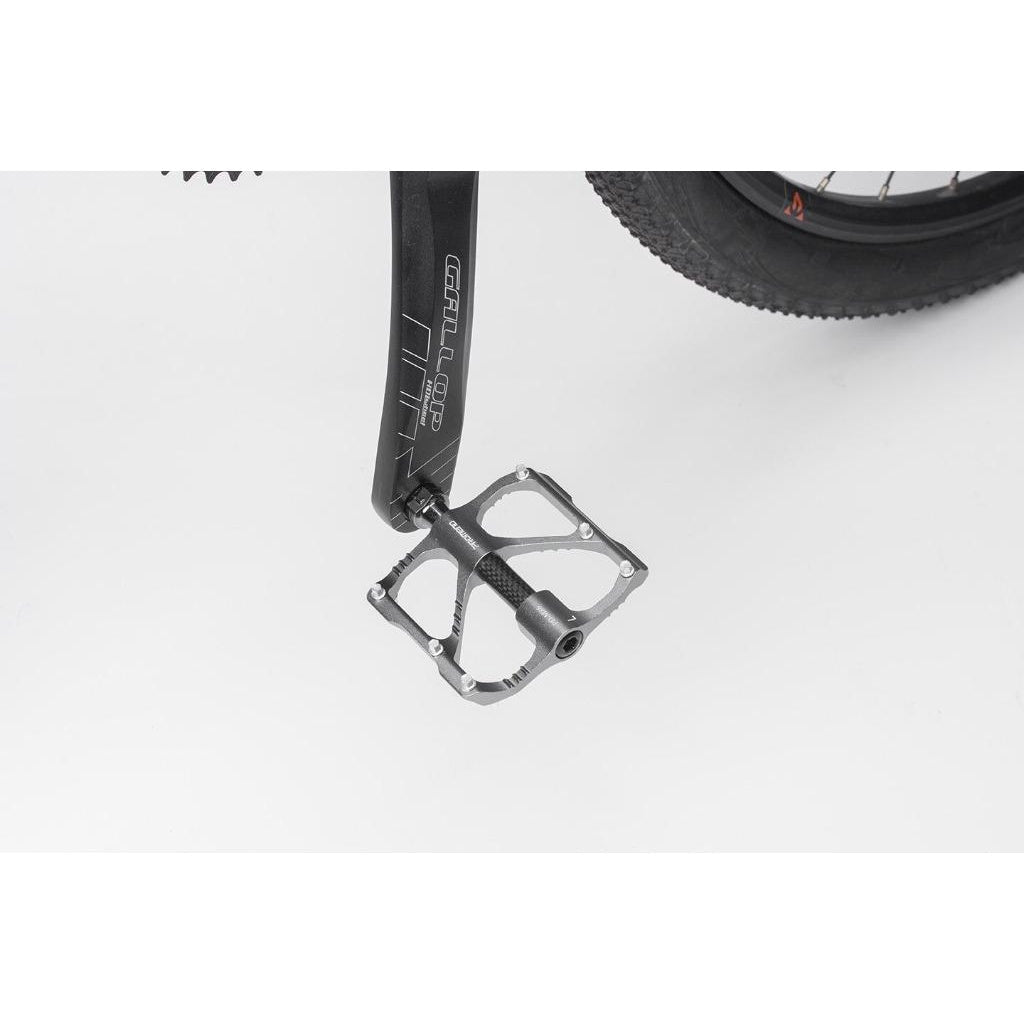 Promend Pedal Carbon Fiber M86C R87C Folding Bicycle MTB Bike Foldie Aluminum